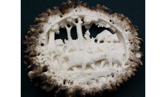HIRSCHHORNROSE WILDSCHWEINE