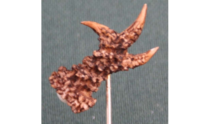 HUTANSTECKER REHKRICKERL