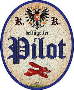 Pilot +