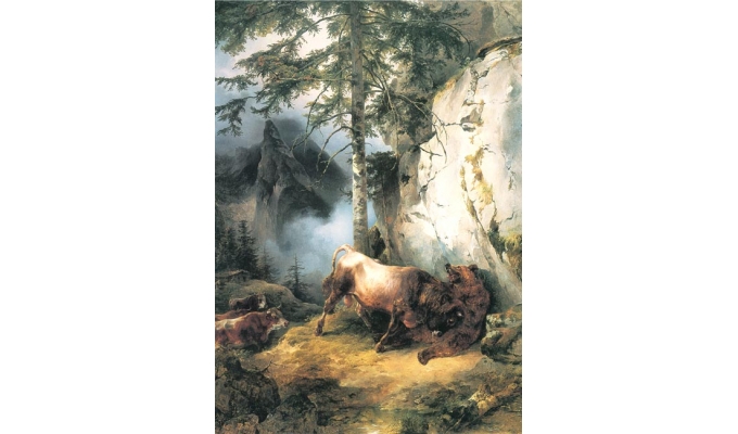 Ein Stier kämpft mit einem Bär