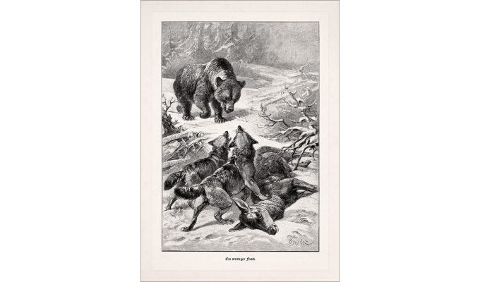 Strittiger Fund