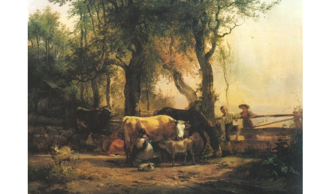 Vieh unter Bäumen am Abend