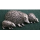 A46 hedgehog family