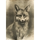 Fuchs