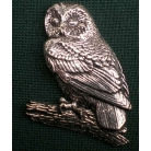 B3 owl