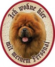 Hund 47 Chow Chow +