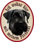 Hund 4 Riesenschnauzer +