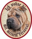 Hund 51 Shar Pei +