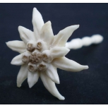 edelweiss made out of buckhorn