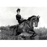 Elisabeth zu Pferd bei der Jagd