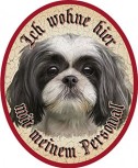 Shih Tzu Hund 24 +